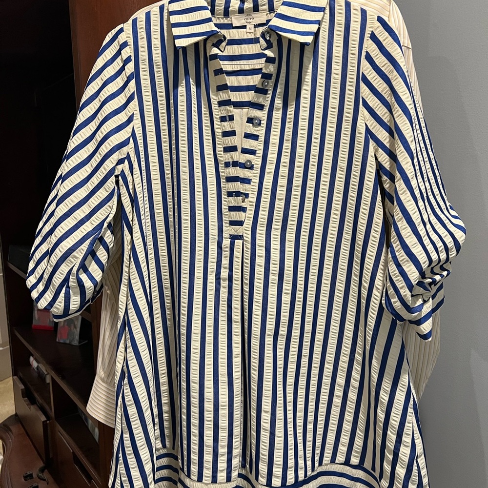 entro Blue and White Striped dress